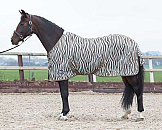  Harry's Horse Vliegendeken zebra plume met singels