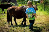 CRAFTY PONIES T-SHIRT UNISEX