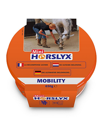 copy-HORSLYX MOBILITY BALANCER MINI