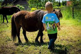 CRAFTY PONIES T-SHIRT UNISEX